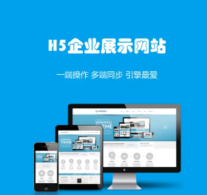 上海網(wǎng)站建設(shè)
